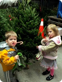 Decorating the Christmas Tree