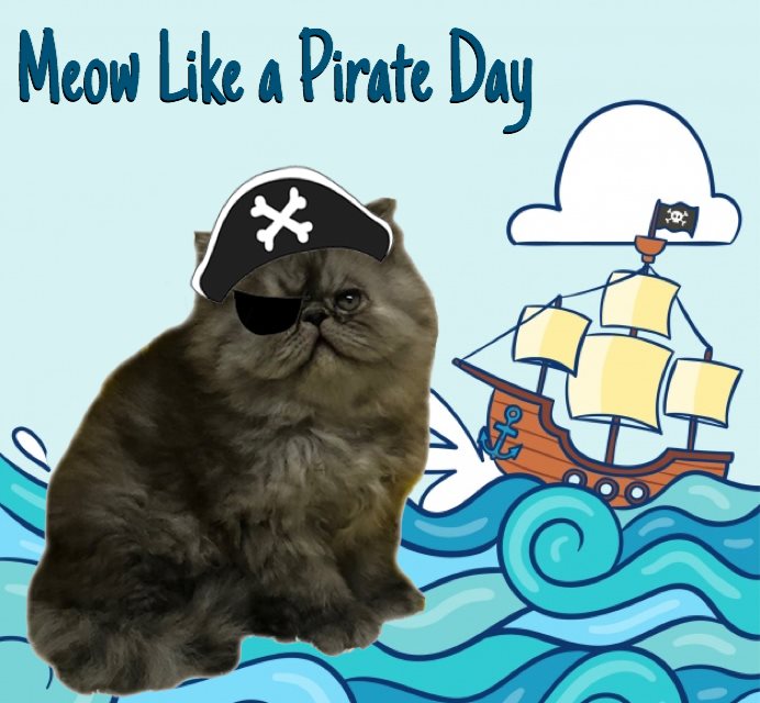 National Meow Like a Pirate Day