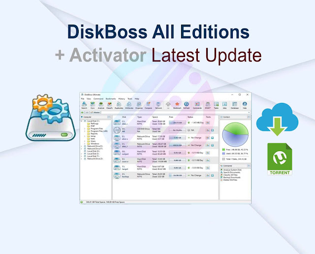 DiskBoss 14.5.18 All Editions + Activator Latest Update