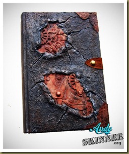 andy-skinner-steampunk-bok (Large)