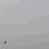 Chinese J-20 5th Gen Stealth Fighter Demonstrates Its Maneuverability