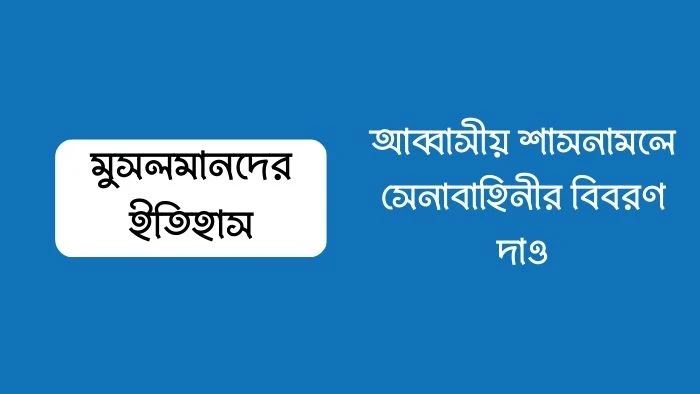 আব্বাসীয় শাসনামলে সেনাবাহিনীর বিবরণ দাও