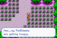 Pokemon Sweet Version screenshot 01