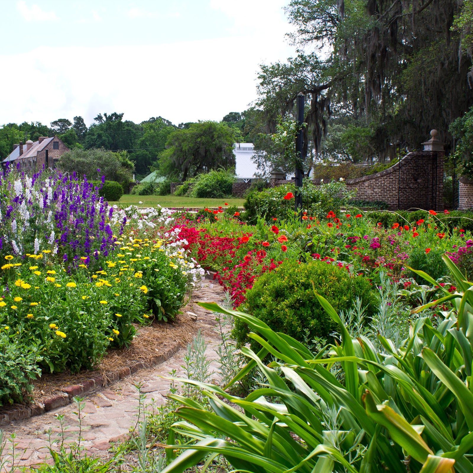 Boone Plantation Gardens, Charleston, South Carolina