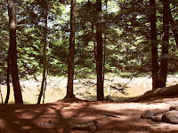 Fay Wayside Picnic Area in Lincoln NH