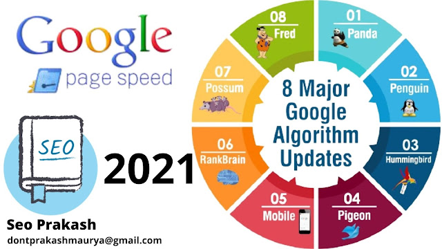 Learn Easily Google 8 Majar Algorithm Updates 2021 in Hindi