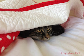 Suzi the cat under the Red and White Pinwheel Quilt