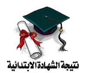 معرفة نتيجة الابتدائية 2013 اون لاين Results Natiga