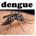 Ayurvedic Dengue Treatment - Get Rid of Dengue Disease