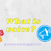 What is voice and how many types of voices are there?