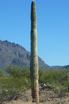 P1120139