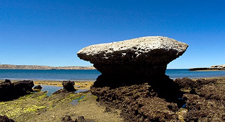 Marea Baja en Península Valdés