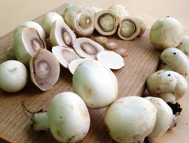 Mushroom, Button Mushroom