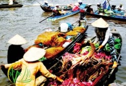 cruises mekong river