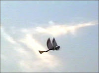 Un ornithoptère. Cet robot volant est grand comme un oiseau et bat des ailes. Document http://www.ornithopter.org/