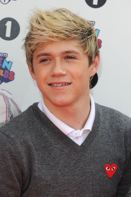 Niall Horan One Direction Hairstyle  Men Hairstyles 