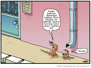 Hayvan Karikatürleri