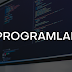 C Programlama Agaç Yapısı