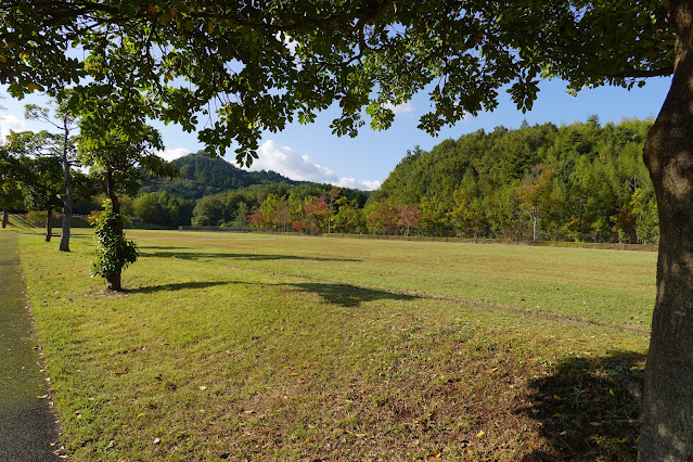 鳥取県西伯郡南部町鶴田　とっとり花回廊