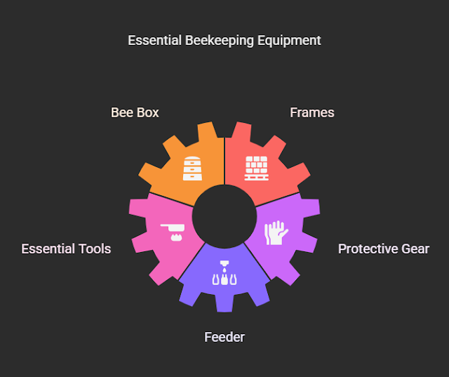 "Infographic of bee box, smoker, protective gear, and hive tools"