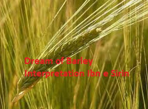  Dream of Barley Interpretation Ibn e Siren
