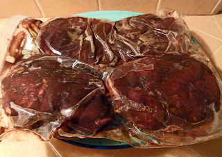 Ziplock Bag with 4 Chops and Marinade