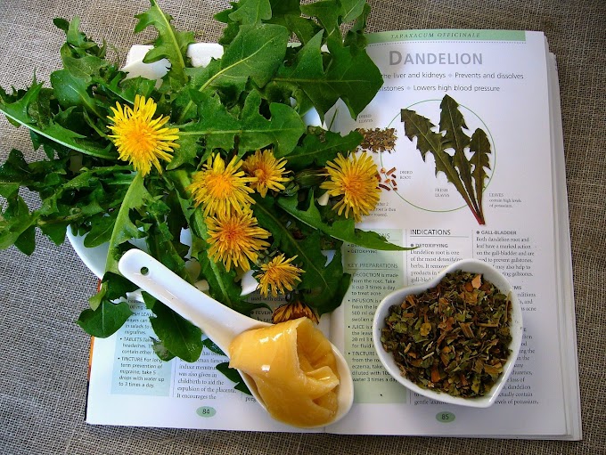 Herbal Medicine and Remedies:  Power of Nature 