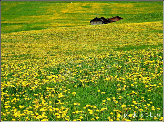 IL BLOG DELLA MONTAGNA di Dorino Bon