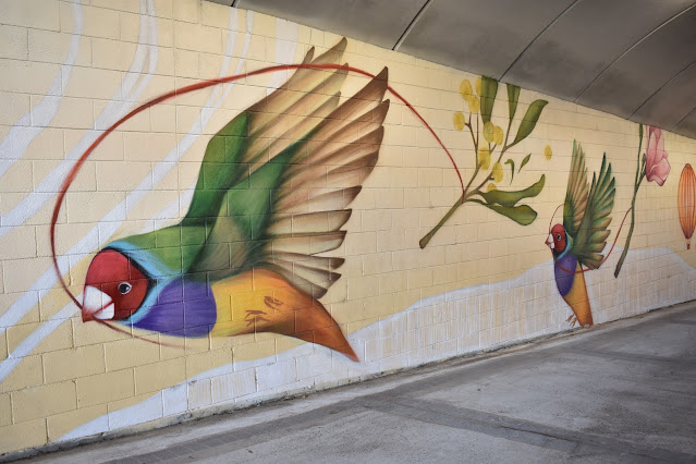 Kingsgrove Street Art | Canal to Creek Public Art by Styna Byna