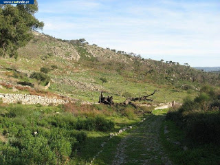 Fonte da Murta Nova de Castelo de Vide, Portugal (Fountain)