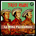 TRIO RUBI - LA NIÑA PARRANDERA  ( DOBLE 1970 )