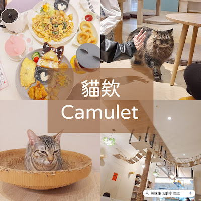 【板橋貓咪餐廳】貓欸Camulet｜早午餐、義大利麵、咖啡、花草茶、Wi-Fi