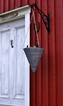 IMG_3600 (395x640)