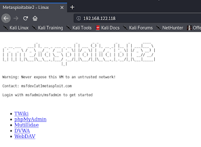 Metasploitable2 in browser