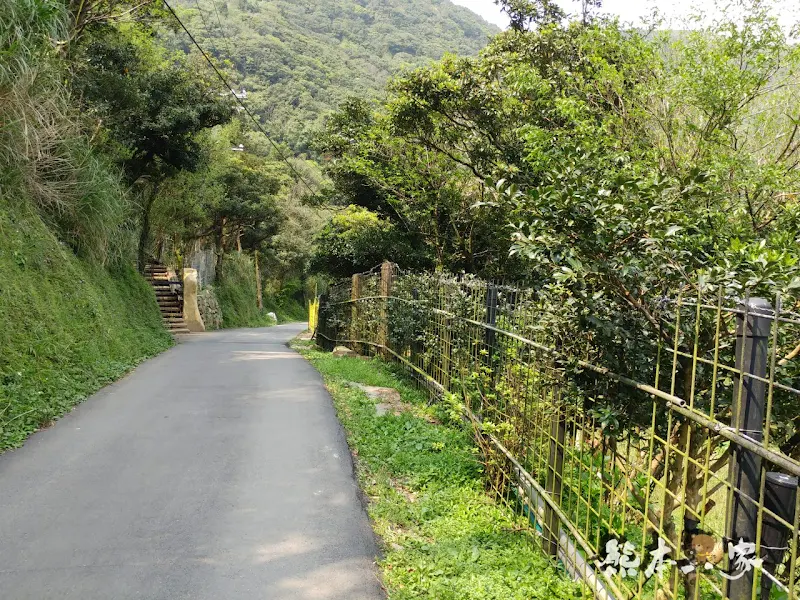 名陽匍休閒農莊｜頂湖海芋步道~台北陽明山竹子湖海芋季官網封面照就是在這拍的