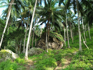 Pinoy Solo Hiker - Mt Daguldol