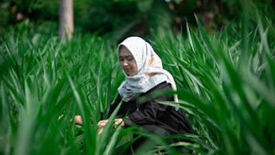 Niken Nurma Yunita: Perlu Ada Cara Visioner Agar Import Beras Bisa Diminimalisir 