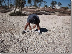Lightning Ridge, NSW (50)