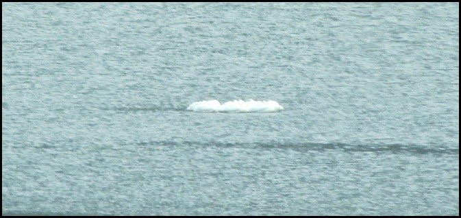 April 16_12200