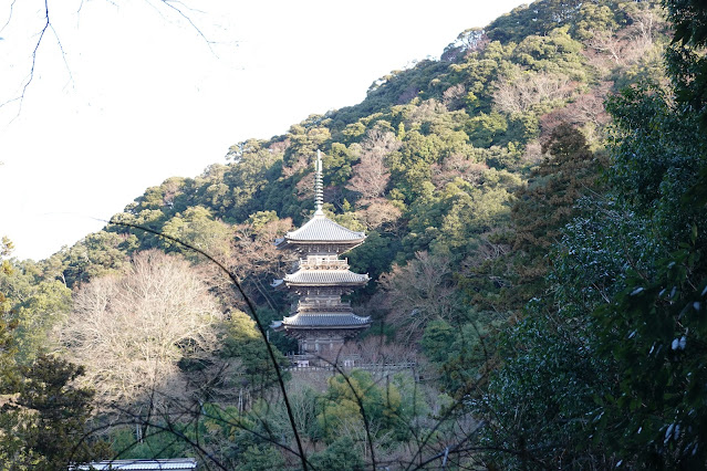 島根県安来市清水町 安来清水寺 朝の風景 安来清水寺三重塔