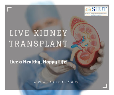 kidney transplantation chennai