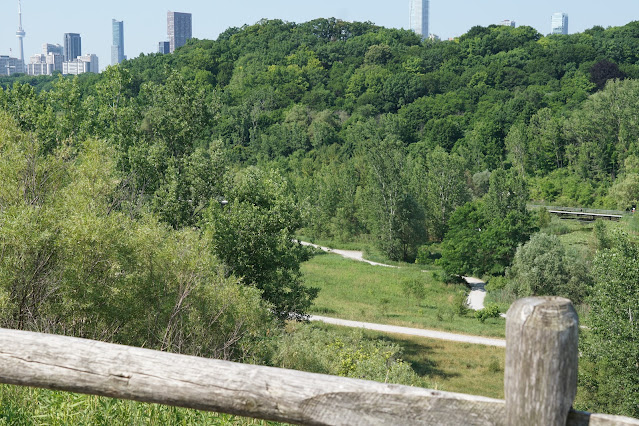 Trails of Evergreen Brickworks