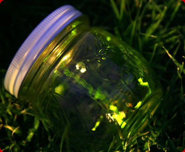 Catching-Fireflies