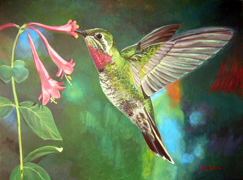 Humming Bird Paintings