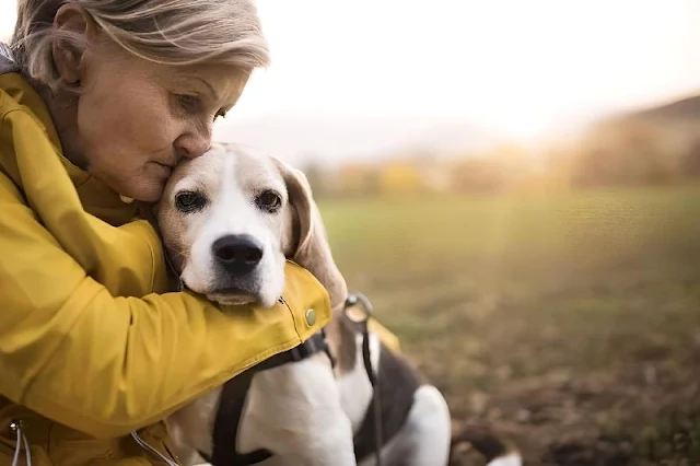 A pesar de la creencia popular de que las mascotas son una fuente segura de felicidad, el estudio revela que la presencia de animales de compañía no muestra diferencias significativas en los niveles de felicidad entre quienes tienen mascotas y quienes no, desafiando así la percepción generalizada sobre la influencia positiva de los animales en nuestra alegría.