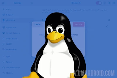 Share Internet Linux From Android