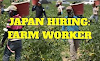 Farm Worker In Japan For Foreigners