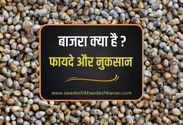 Information about pearl millet bajra in hindi