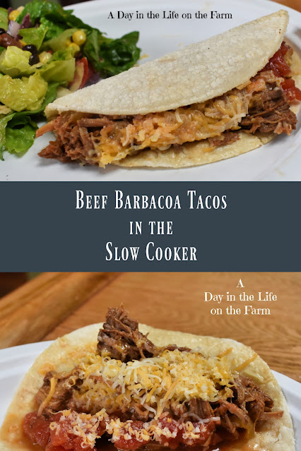 Beef Barbacoa Tacos pin