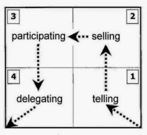 Self Development Leadership Theory